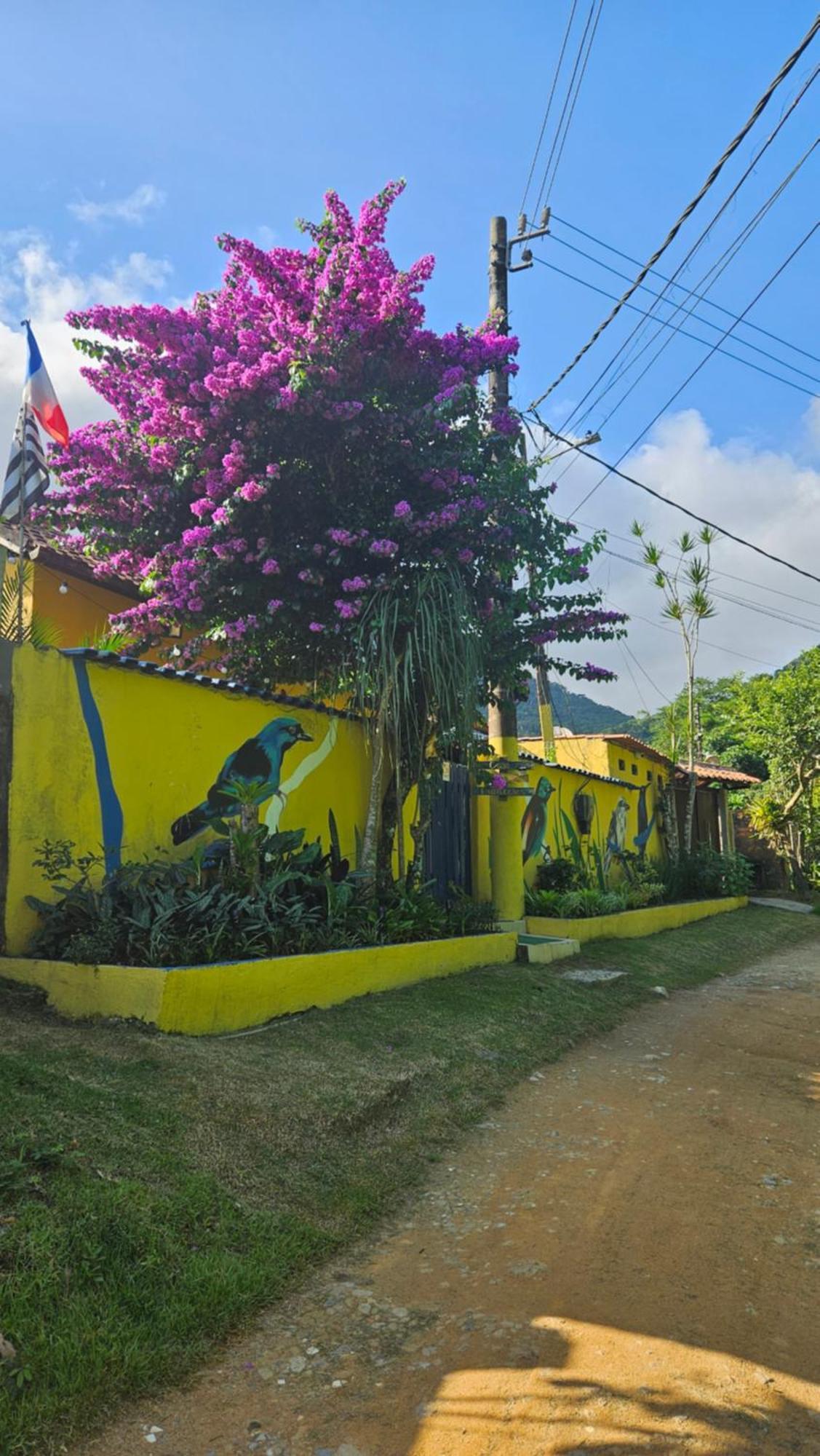 Вилла Casa Dos Franceses Ilha Grande Экстерьер фото