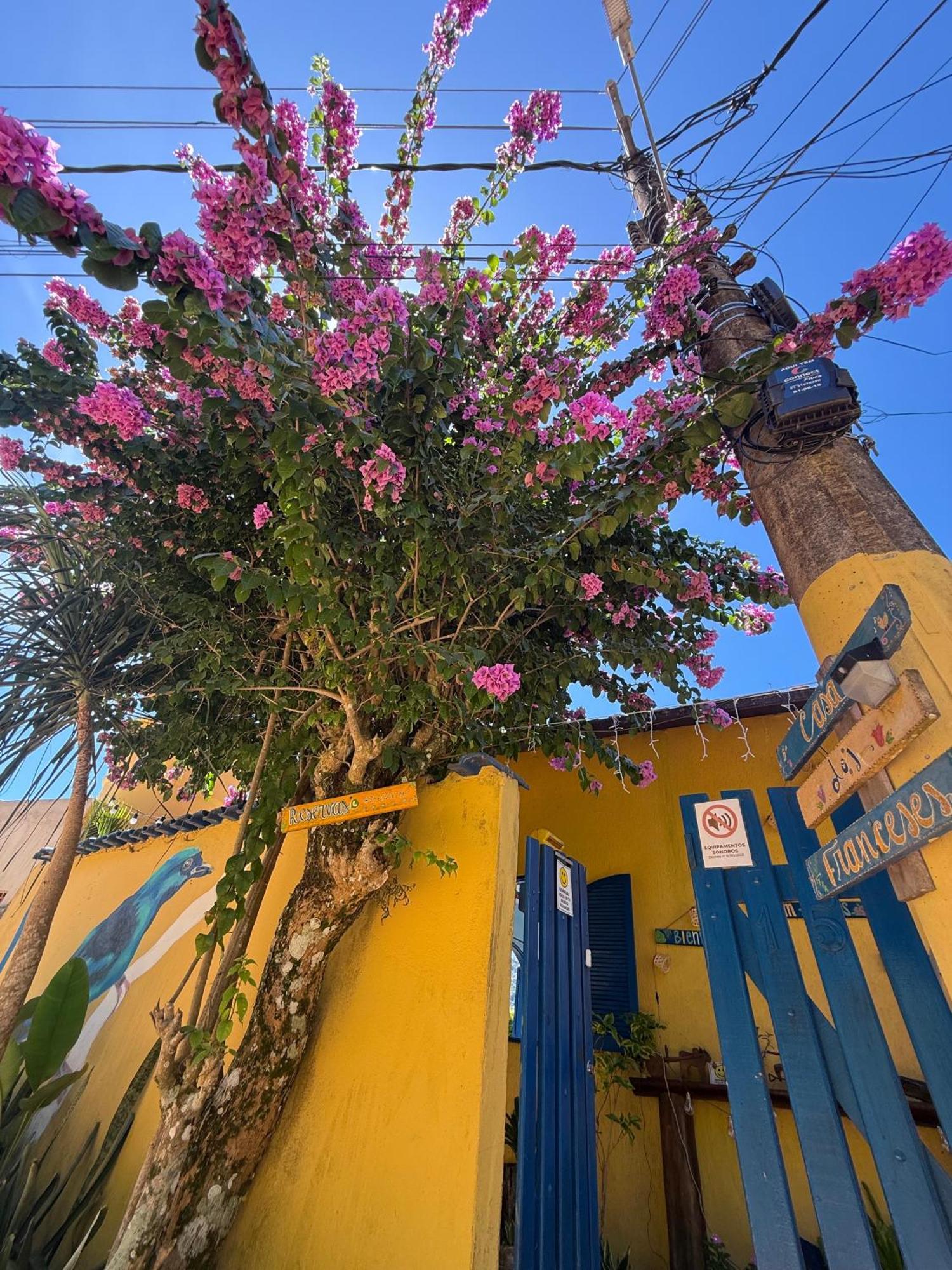 Вилла Casa Dos Franceses Ilha Grande Экстерьер фото